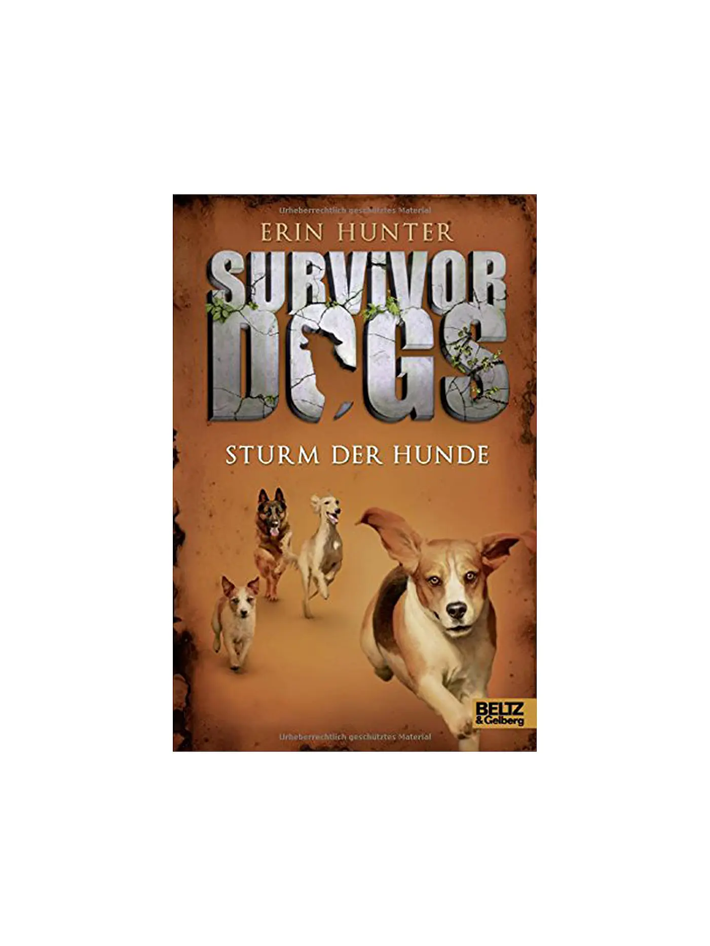 BELTZ & GELBERG VERLAG | Buch - Survivor Dogs - Sturm der Hunde: Band 6 | 